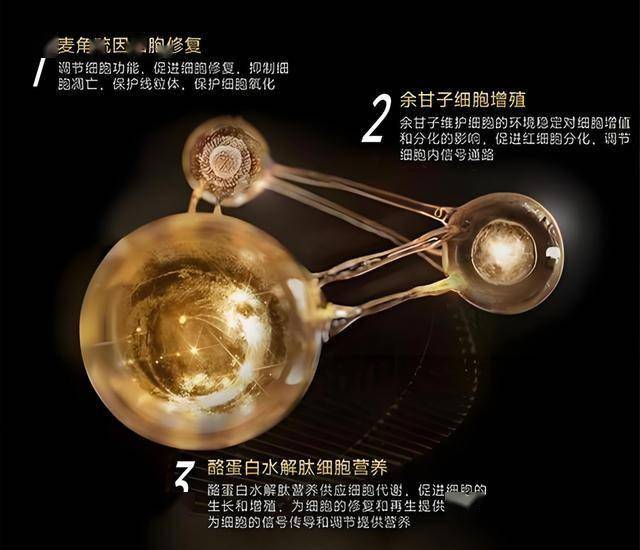 定州市举办2025年节能宣传周和低碳日宣传活动