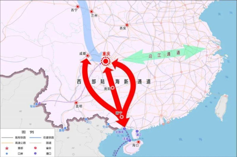 定州市残疾人志愿服务协会会长吴明月获评“全国自强模范”